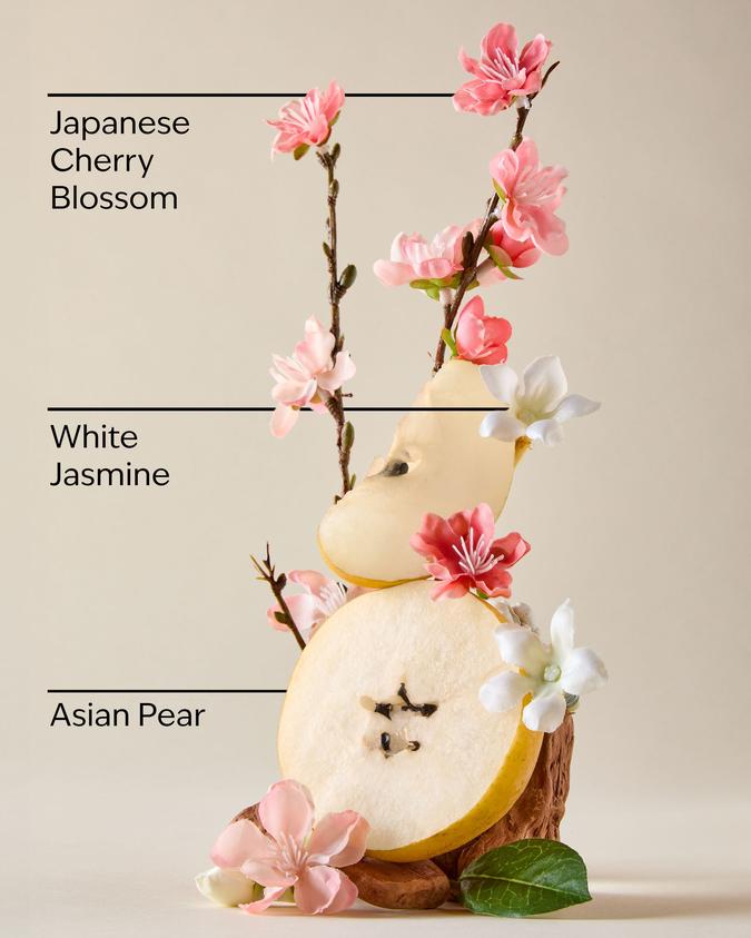 Japanese Cherry Blossom image number 2