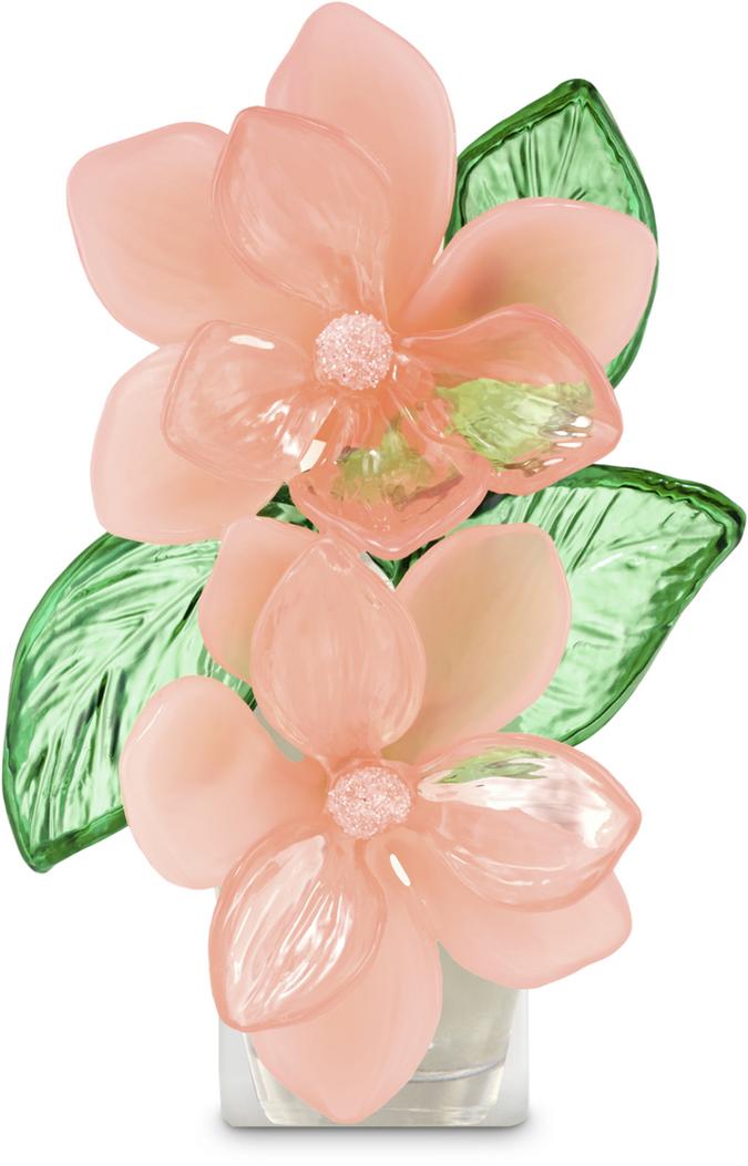 Spring Bloom  Spring Bloom 