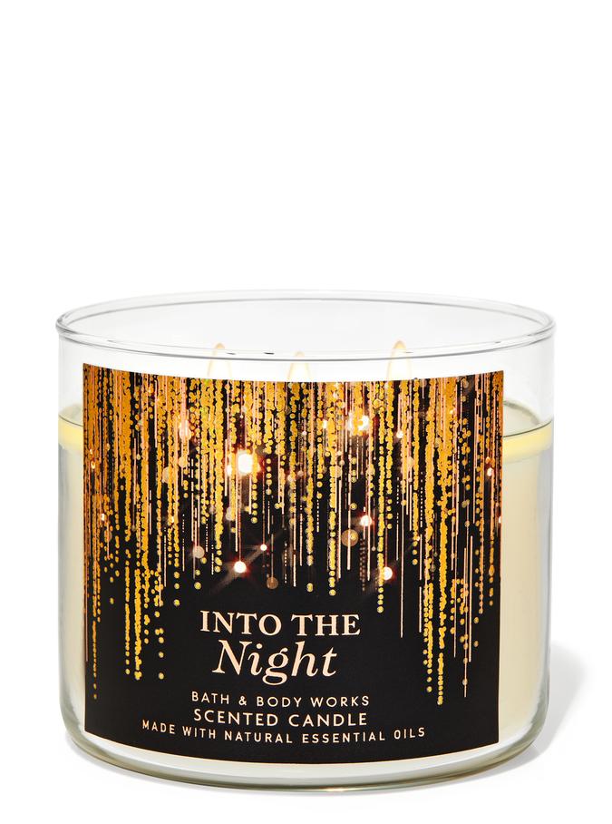 Into the Night Into the Night