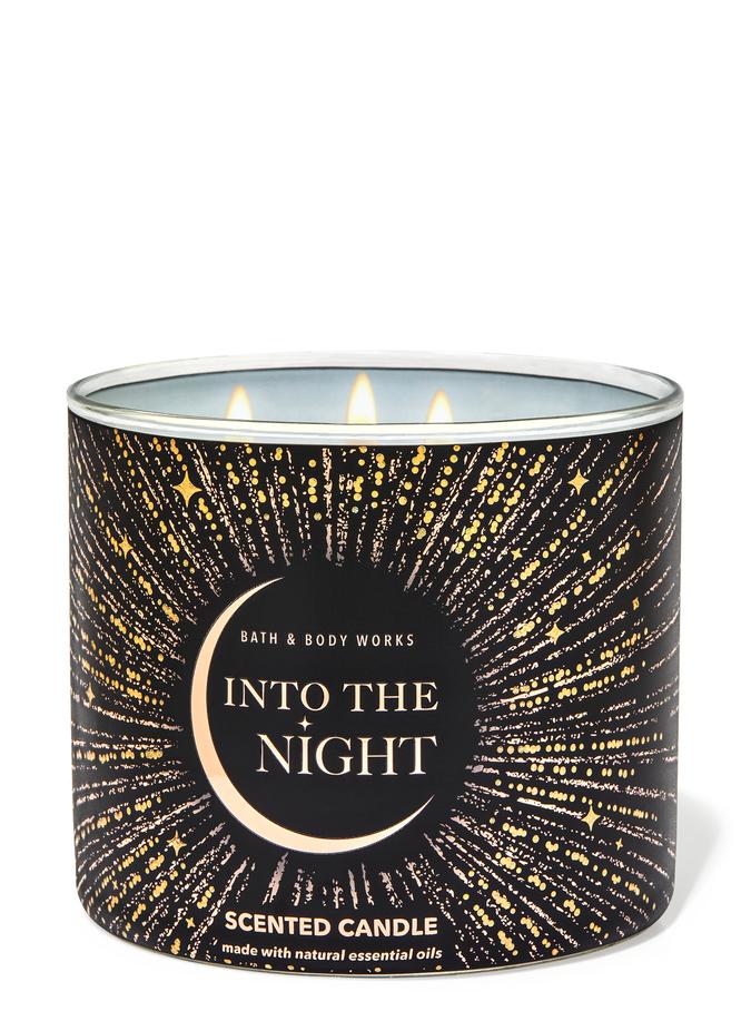Into the Night Into the Night