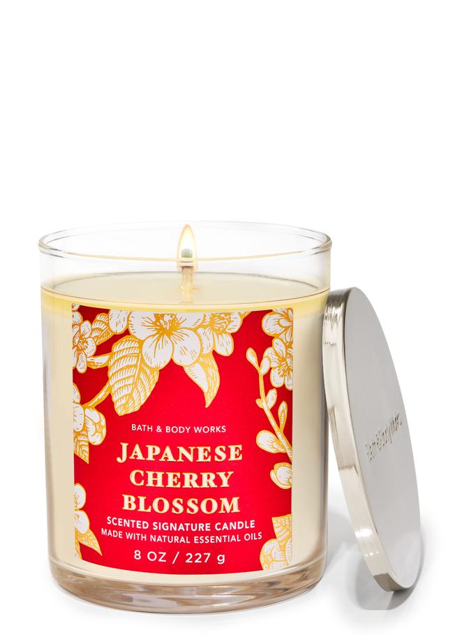 Japanese Cherry Blossom Japanese Cherry Blossom