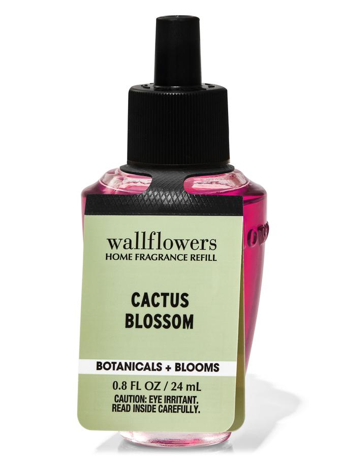 Cactus Blossom Cactus Blossom