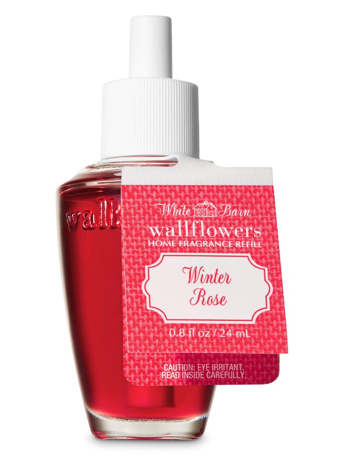 Winter Rose Winter Rose