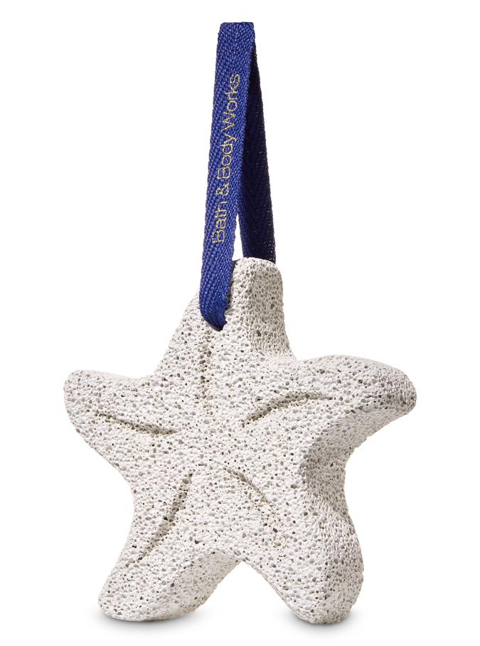 Starfish Pumice Stone Starfish Pumice Stone