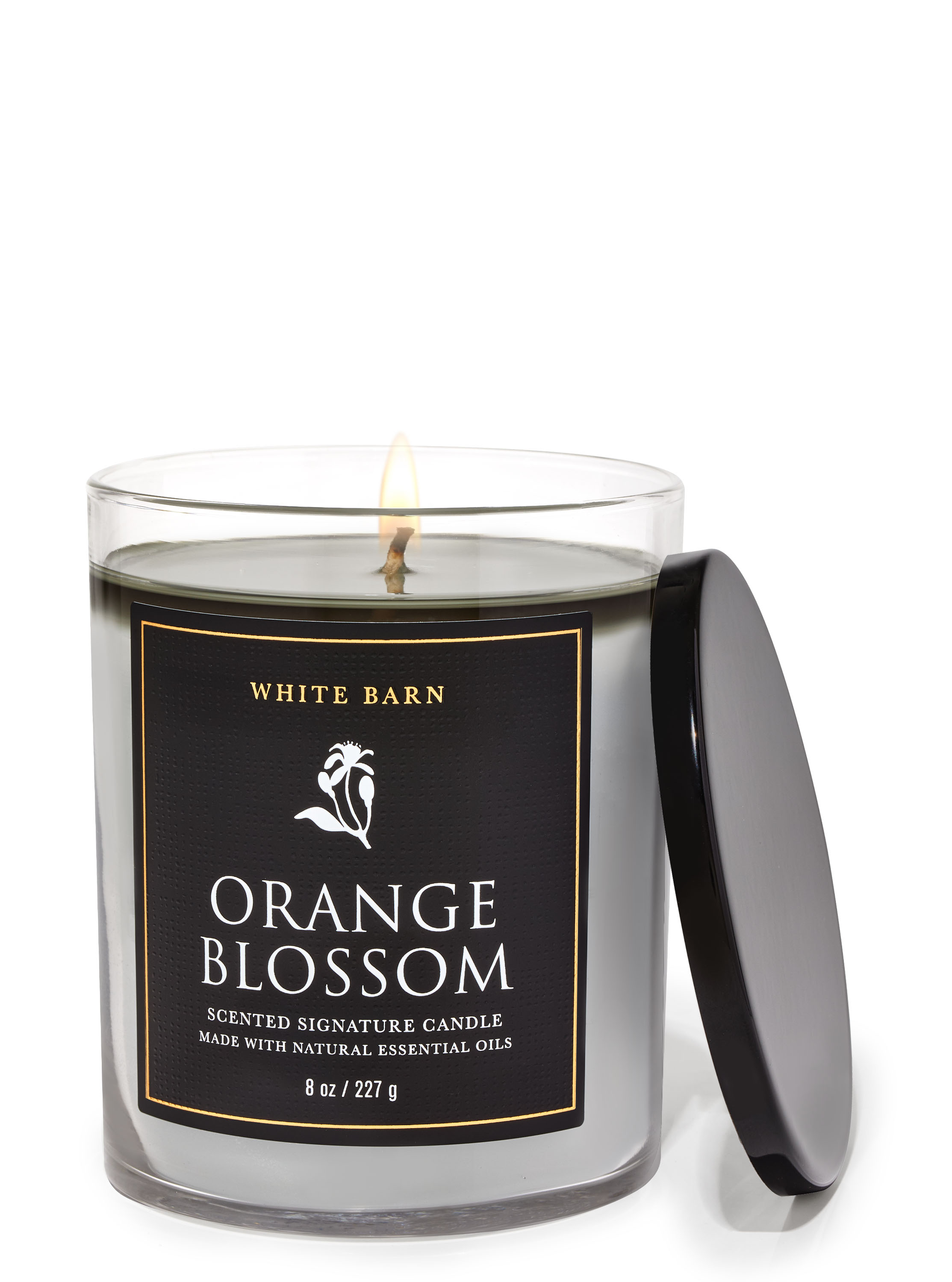 Orange Blossom Orange Blossom