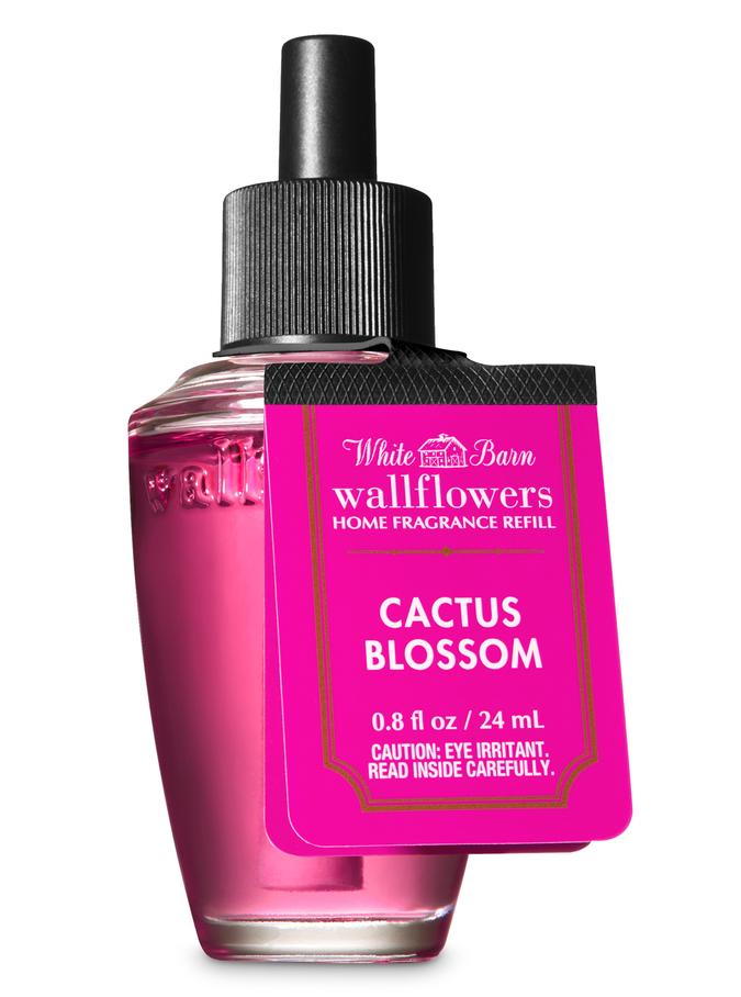 Cactus Blossom Cactus Blossom